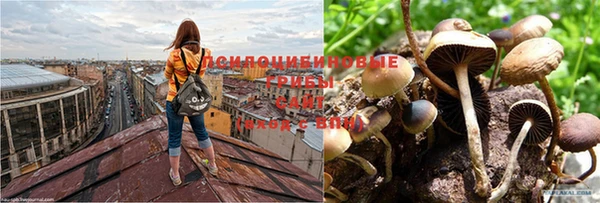 мяу мяу мука Верхнеуральск