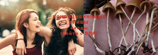 мяу мяу мука Верхнеуральск